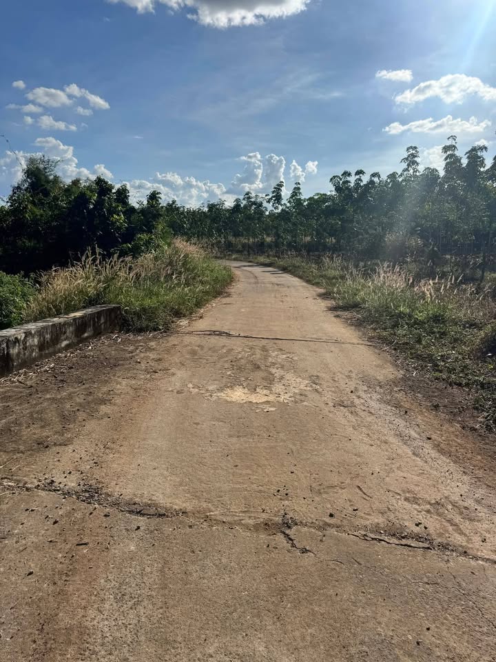 Đất nền phường An Lộc 12.000m² giá 1.9 tỷ - Đầu tư sinh lời ngay!