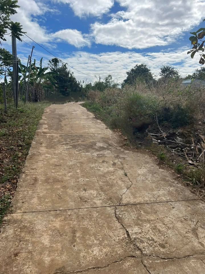 Đất nền 1000m² Thanh Phú, Bình Long - Giá thỏa thuận hấp dẫn!