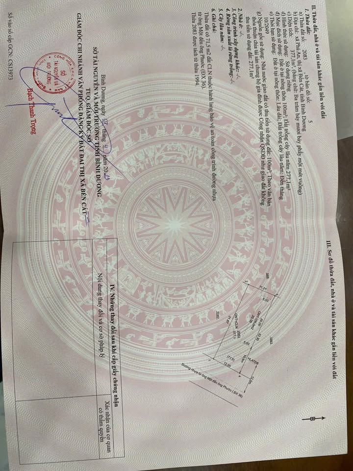 Đất Phú An, Bến Cát 100m² giá 3.9 tỷ - Đường nhựa 12m thông thoáng!