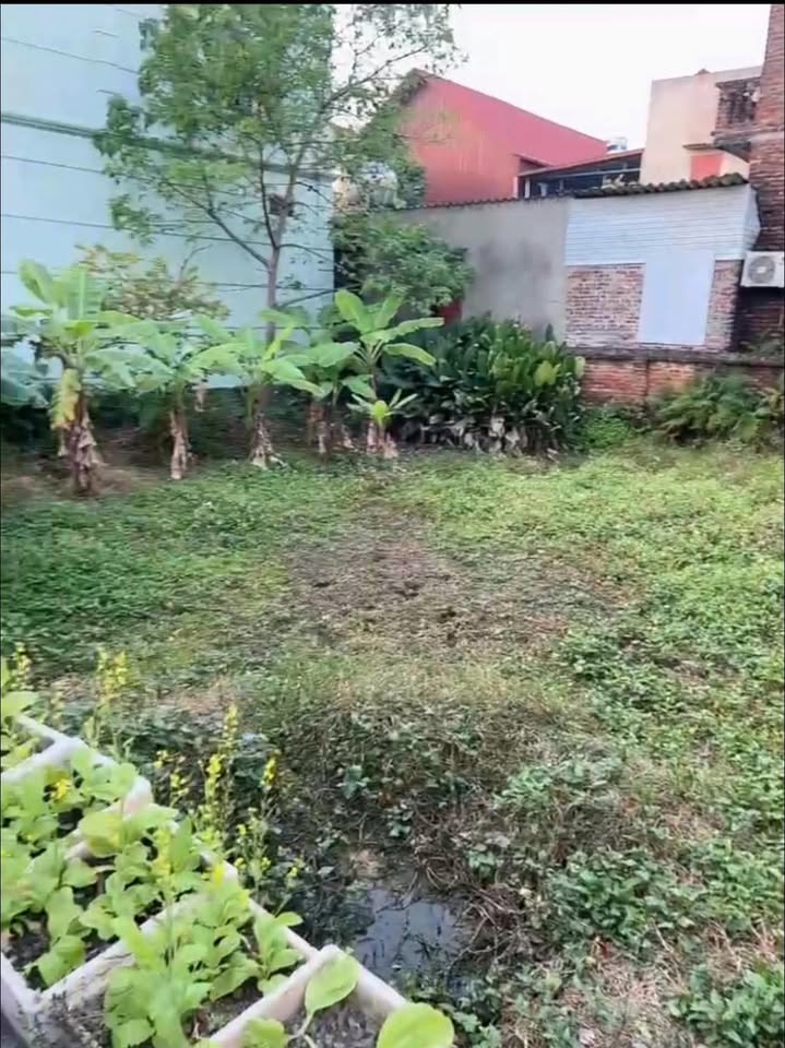 Đất thổ cư Đồng Sơn Bắc Giang 192m² giá 3 tỷ - Mặt tiền rộng thoáng