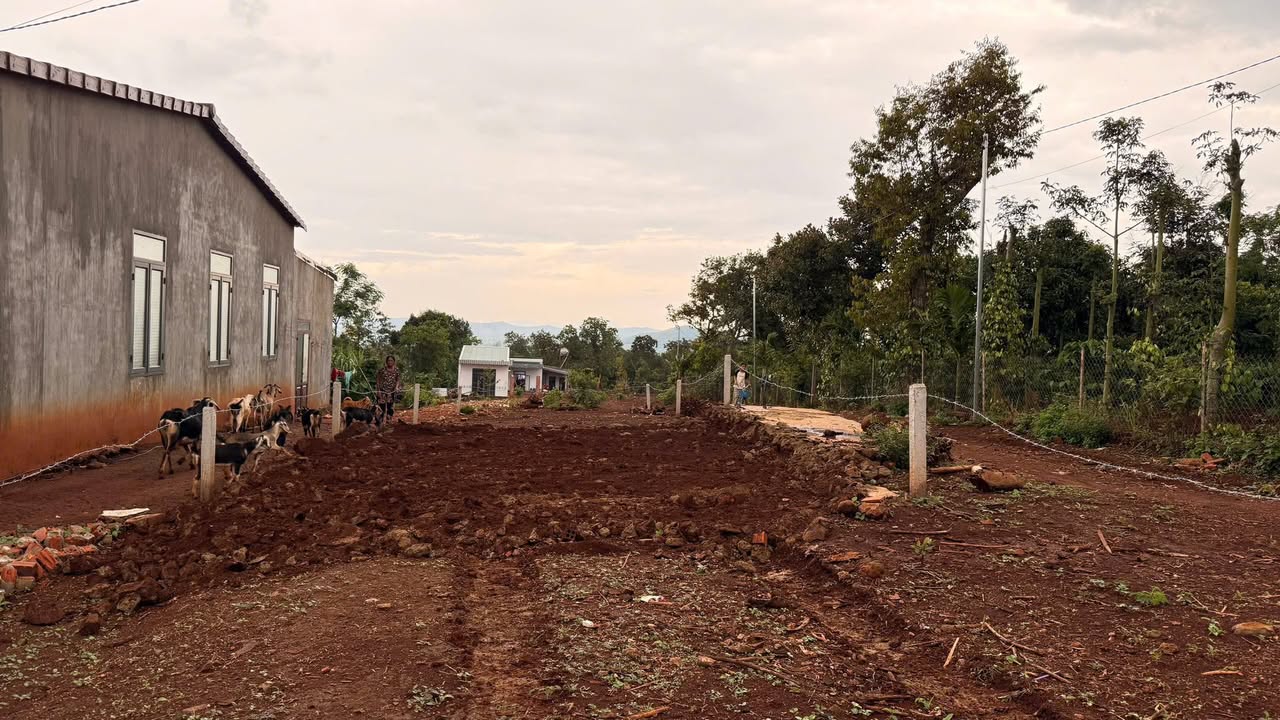 Đất nền hẻm cấp 1 đường 19/5 phường Ea Kao 210m² giá chỉ 1.2 tỷ - Đầu tư sinh lời ngay!