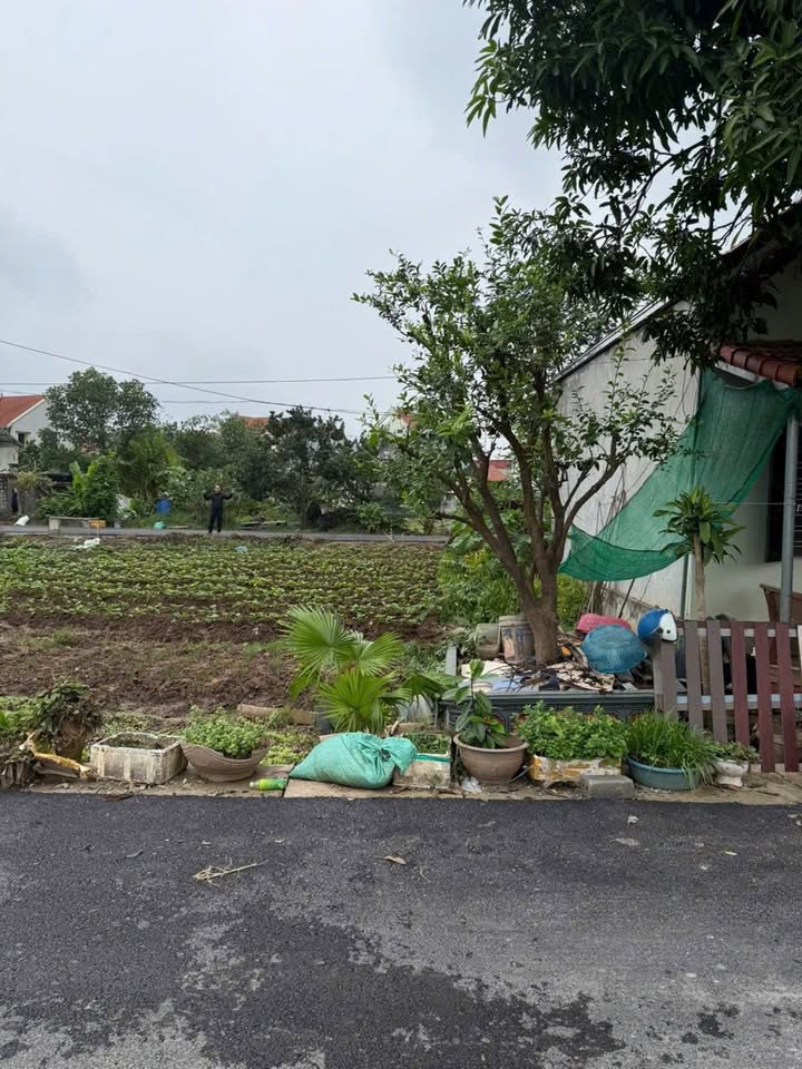 Bán đất Chuyên Ngoại, Duy Tiên 94m² giá 2.7 tỷ - Đầu tư sinh lời ngay!