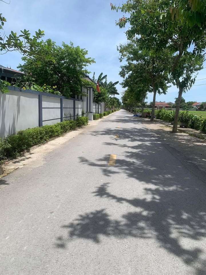 Đất thổ cư Thôn Thống Nhất, Nghi Xuân 224m² giá 1.6 tỷ - Cơ hội đầu tư hấp dẫn!