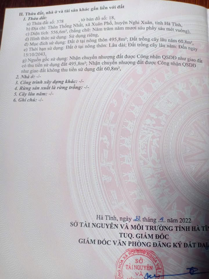 Đất thổ cư Xuân Phổ Nghi Xuân 500m² giá chỉ 2 tỷ - Đường thông rộng, vị trí đẹp!