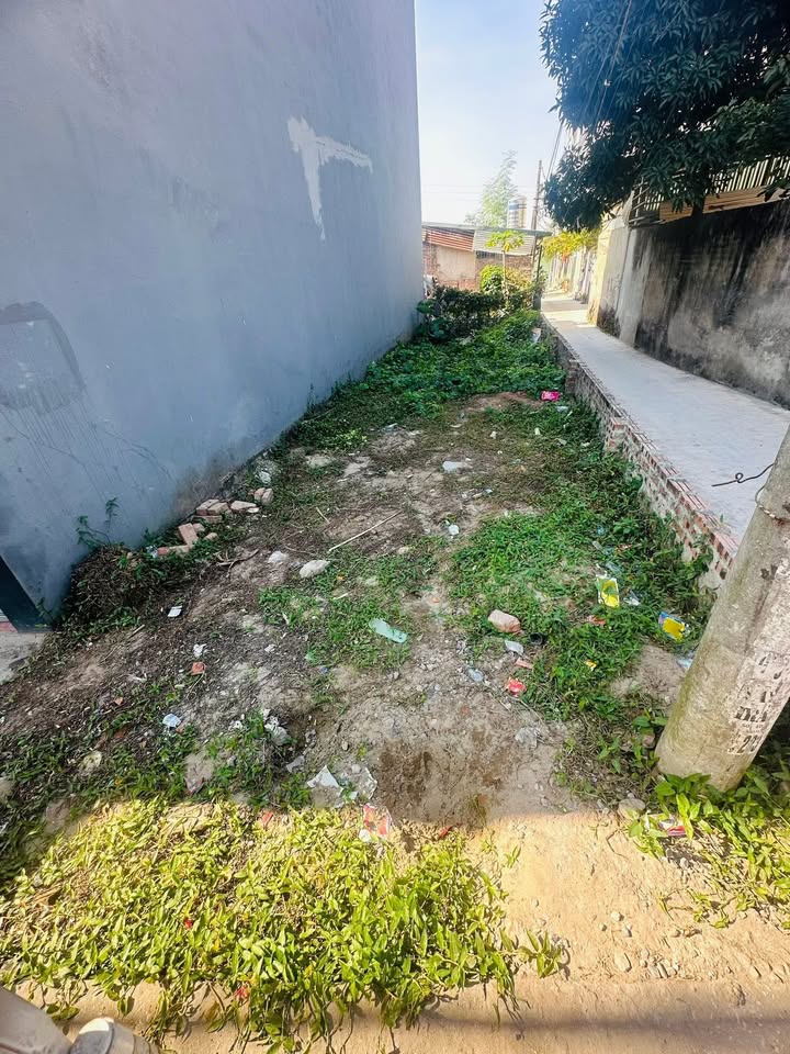 Đất ngõ 6 Mỹ Ả, Thanh Trì, Hà Nội 50m² giá 6 tỷ - Kinh doanh sầm uất!