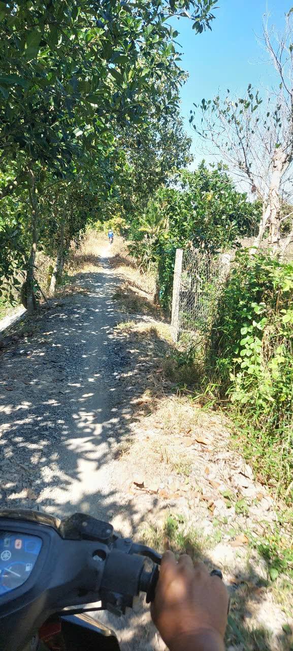 Đất nền Tân Phú Trung, Châu Thành, Đồng Tháp 1935m² giá 600 triệu - Tiềm năng đầu tư cao!