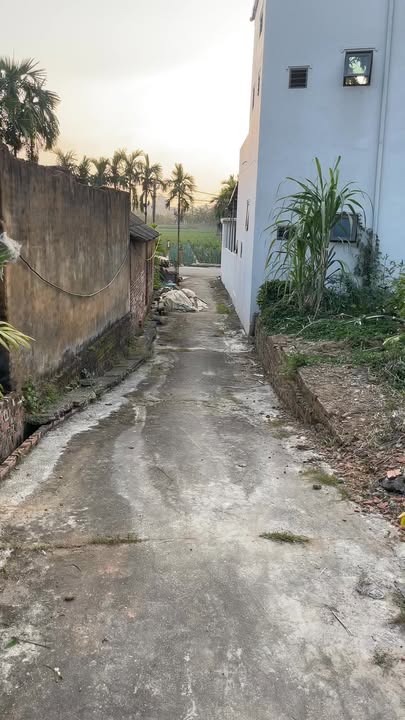 Đất thổ cư Thái Đào, Lạng Giang 94.7m² giá chỉ 1 tỷ - Vị trí đẹp, đầu tư sinh lời!