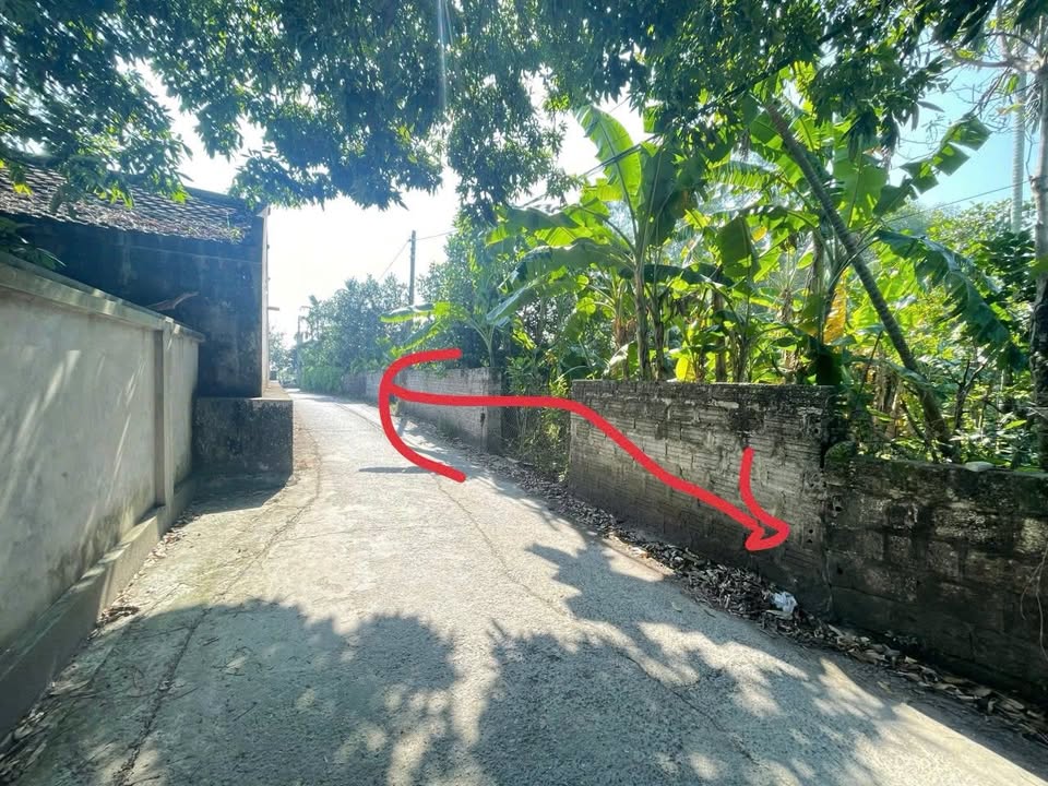 Đất thổ cư thôn Nhân Hoà, Xã Đồn Xá, Huyện Bình Lục 180m² giá 800 triệu - Cơ hội đầu tư hấp dẫn!