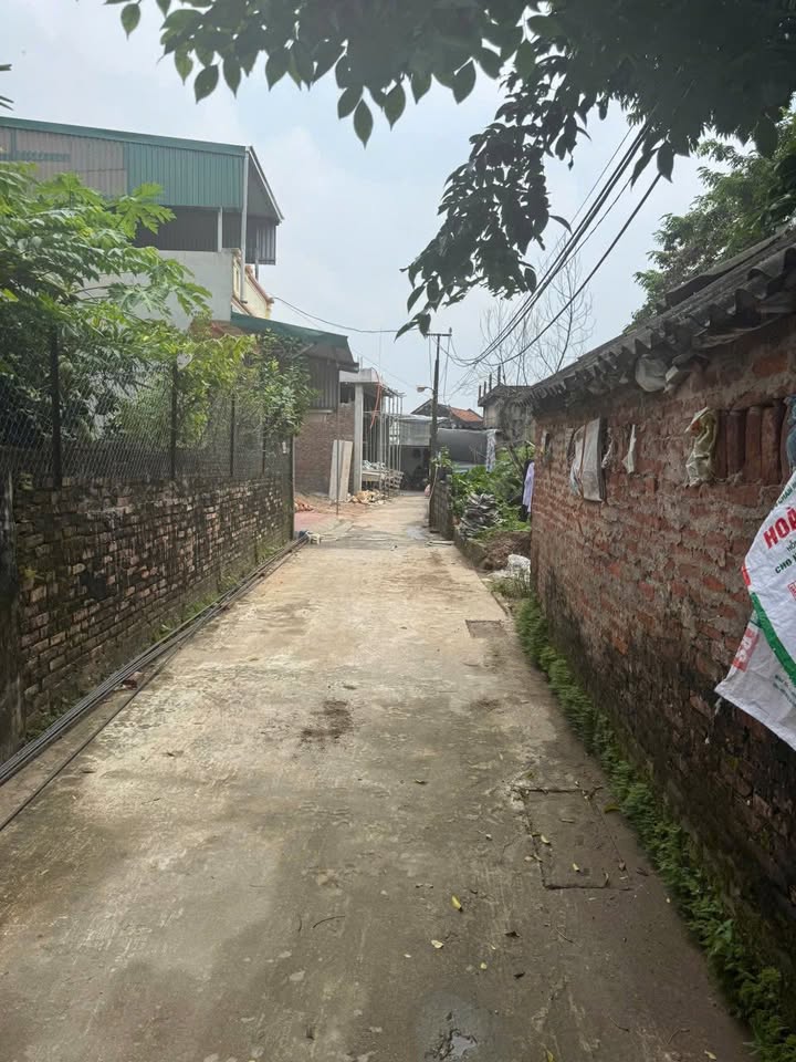 Đất nền Thắng Lợi, Thường Tín 72m² giá 3.12 tỷ - Bán gấp thu hồi vốn!