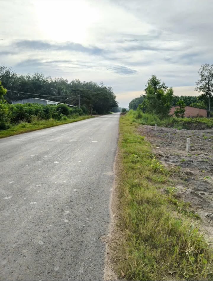 Đất nền Tân Hiệp, Tây Ninh 78300m² giá 629 triệu - Đầu tư sinh lời ngay!