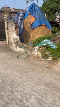 Đất thổ cư Mai Trung, Hiệp Hoà 158m² giá 1 tỷ - Cơ hội đầu tư tuyệt vời!