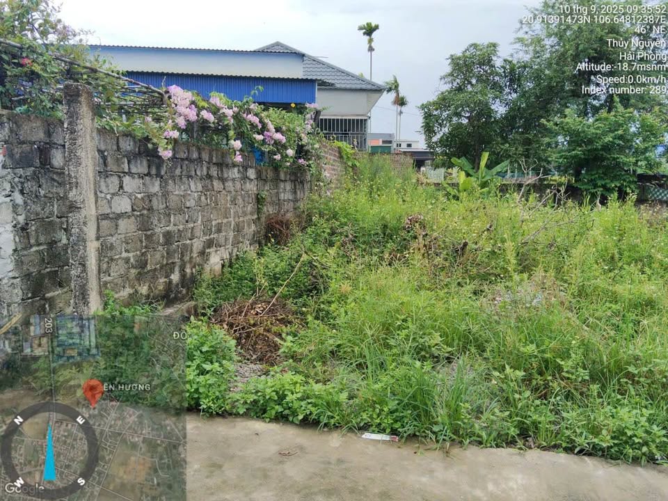 Lô đất chính chủ Phường Thiên Hương 60m² giá chỉ 1.2 tỷ - Đường ô tô đỗ tận đất!