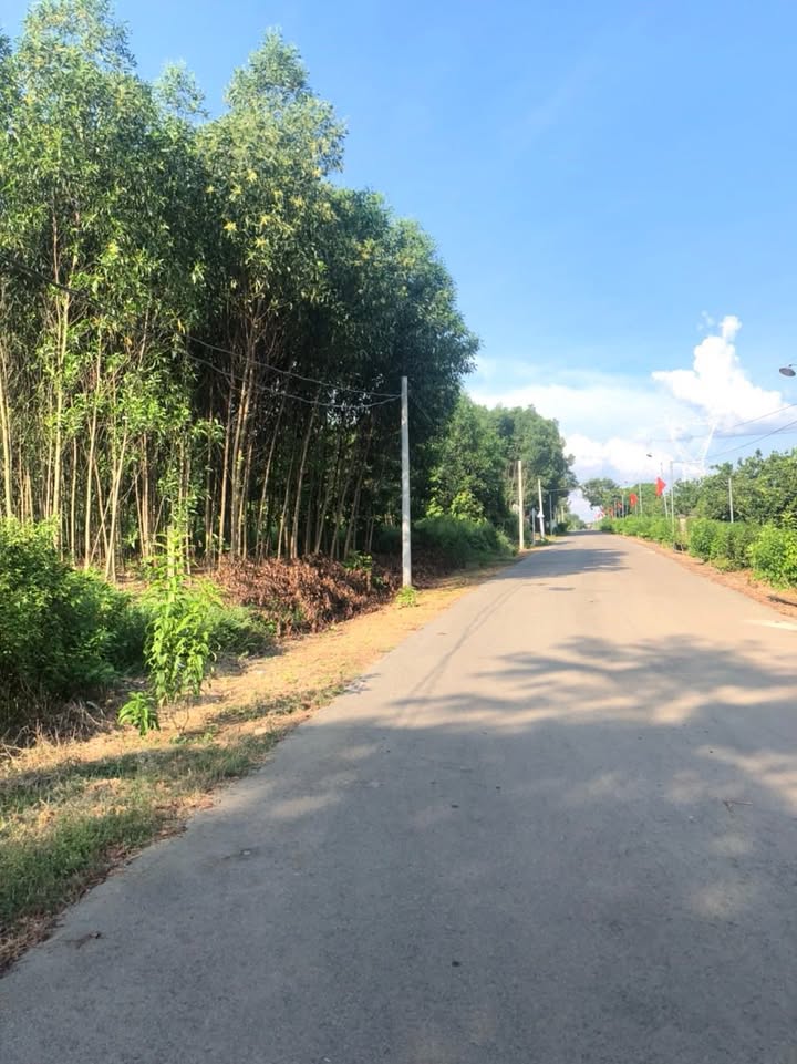 Bán đất Phú Ngọc Định Quán 11.000m² giá 5.8 tỷ - Đầu tư sinh lời lâu dài!