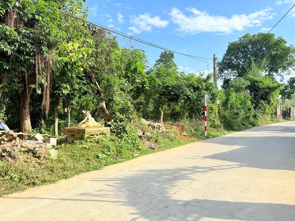 Đất nền Nhuận Trạch Lương Sơn 2700m² - Đầu tư sinh lời hấp dẫn!