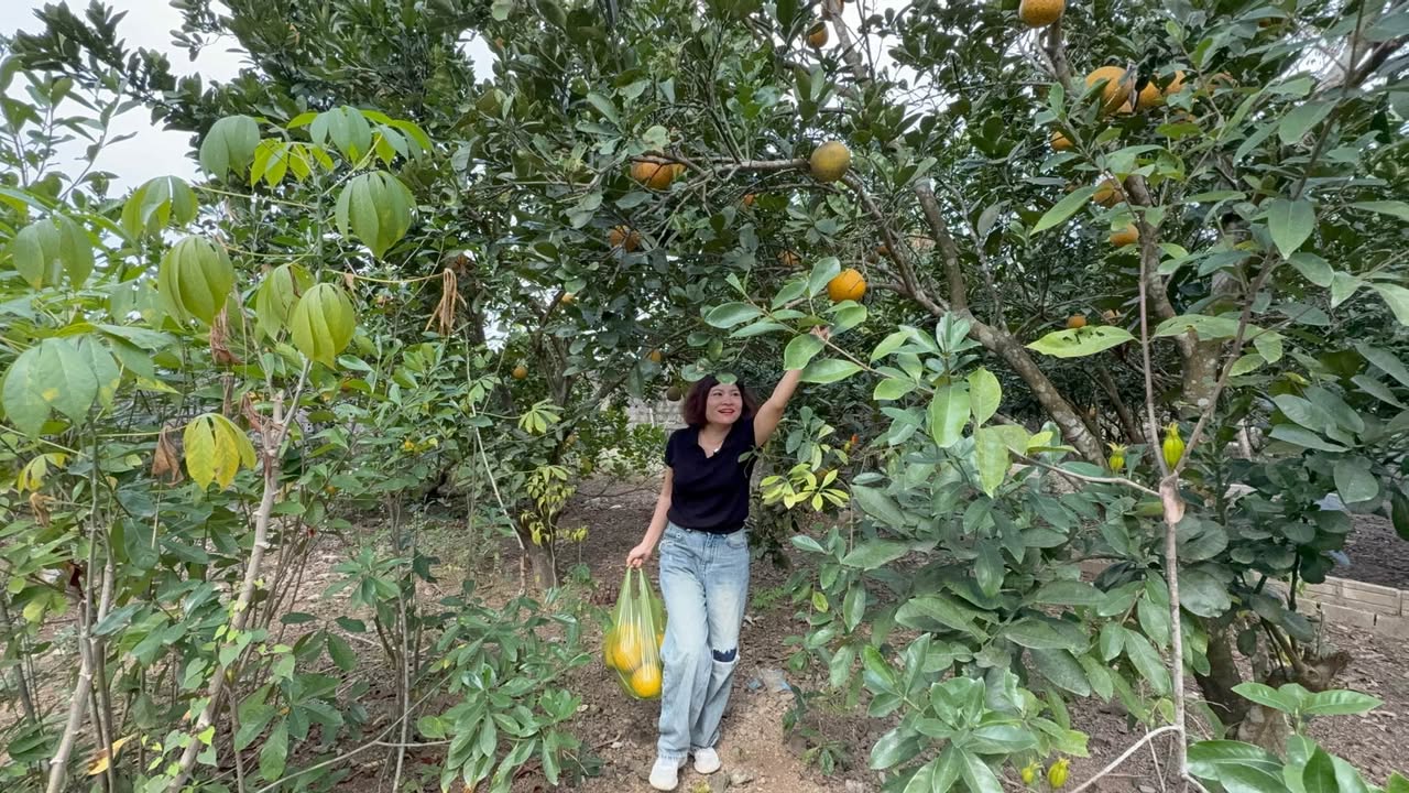 Đất Đoàn Kết, Yên Thủy, Hòa Bình 143m² giá 680 triệu - View hồ sinh thái tuyệt đẹp!