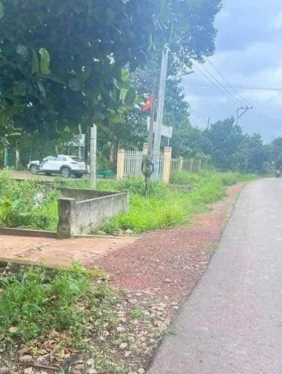 Đất nền Tân Lập Đồng Phú 530m² giá 1.35 tỷ - Đầu tư sinh lời cao!