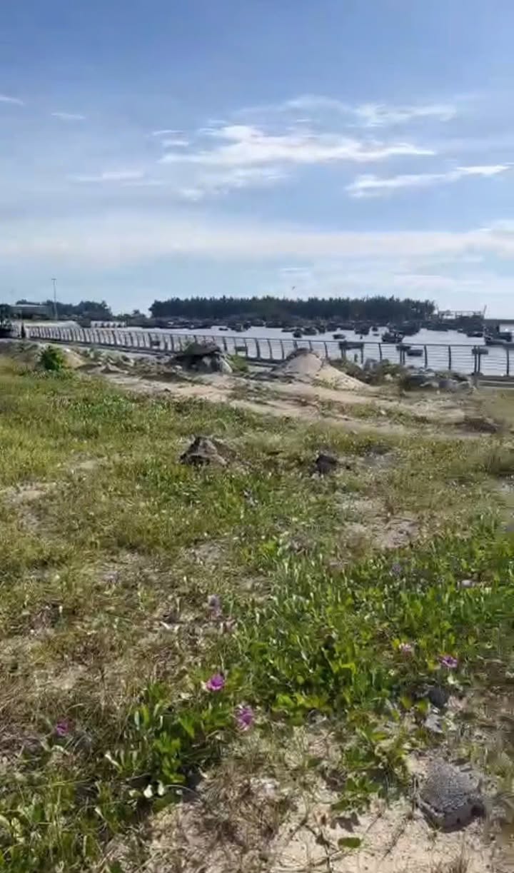 Đất nền mặt tiền đường bờ kè biển Bình Châu 801.9m² giá 1 tỷ - Sổ đỏ chính chủ!