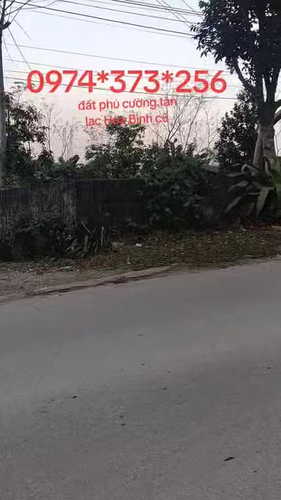 Đất nền Phú Cường Tân Lạc 26m² giá thỏa thuận - Kinh doanh thuận lợi ngay trung tâm