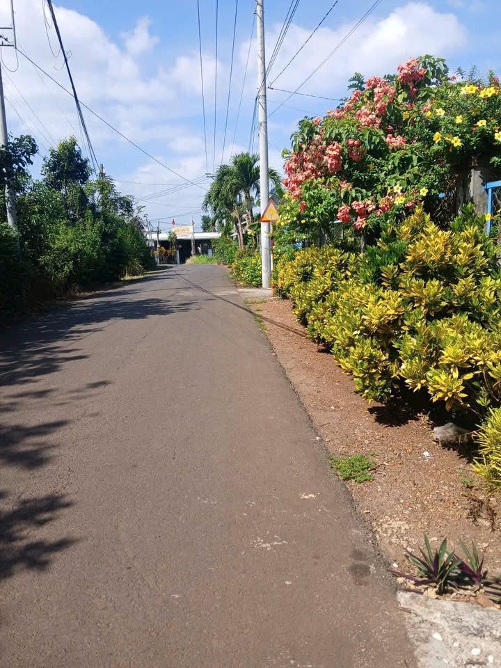 Đất nền 150m² đường Bình Lộc Tín Nghĩa chỉ 1.2 tỷ - Đầu tư sinh lời dễ dàng!