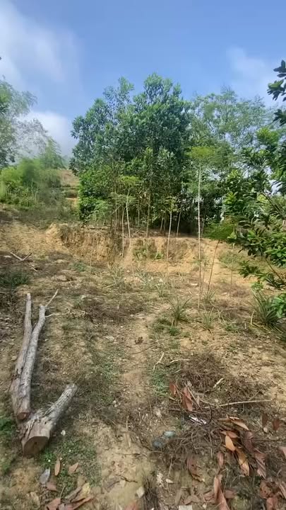 Đất nền Kim Bôi Hòa Bình 2000m² giá 2 tỷ - Cơ hội đầu tư hấp dẫn!