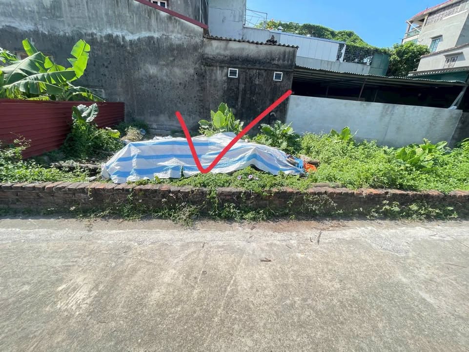 Đất nền đẹp tại Đông Xuân, Sóc Sơn 40m² - Giá thỏa thuận, vị trí thuận lợi!