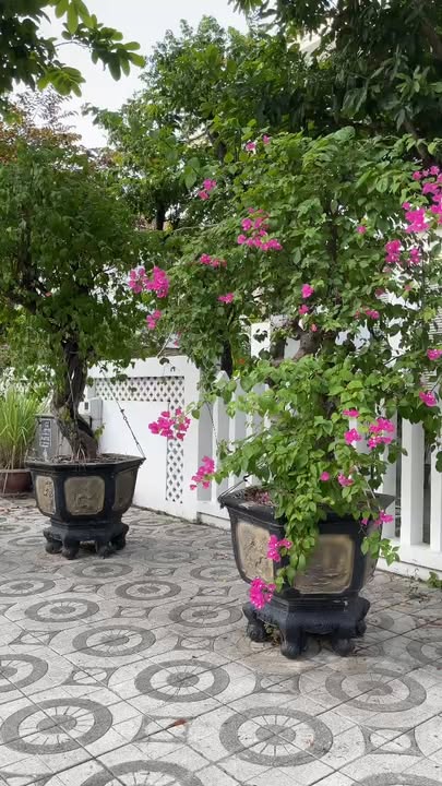 Biệt thự Erovila 1, Sơn Trà, Đà Nẵng 250m² - An cư lý tưởng, đầu tư sinh lời!