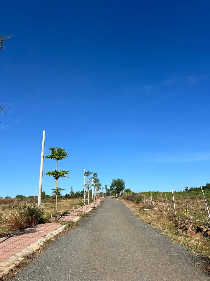 Đất nền Thanh An Hớn Quản 250m² giá chỉ 165 triệu - Đầu tư sinh lời ngay!