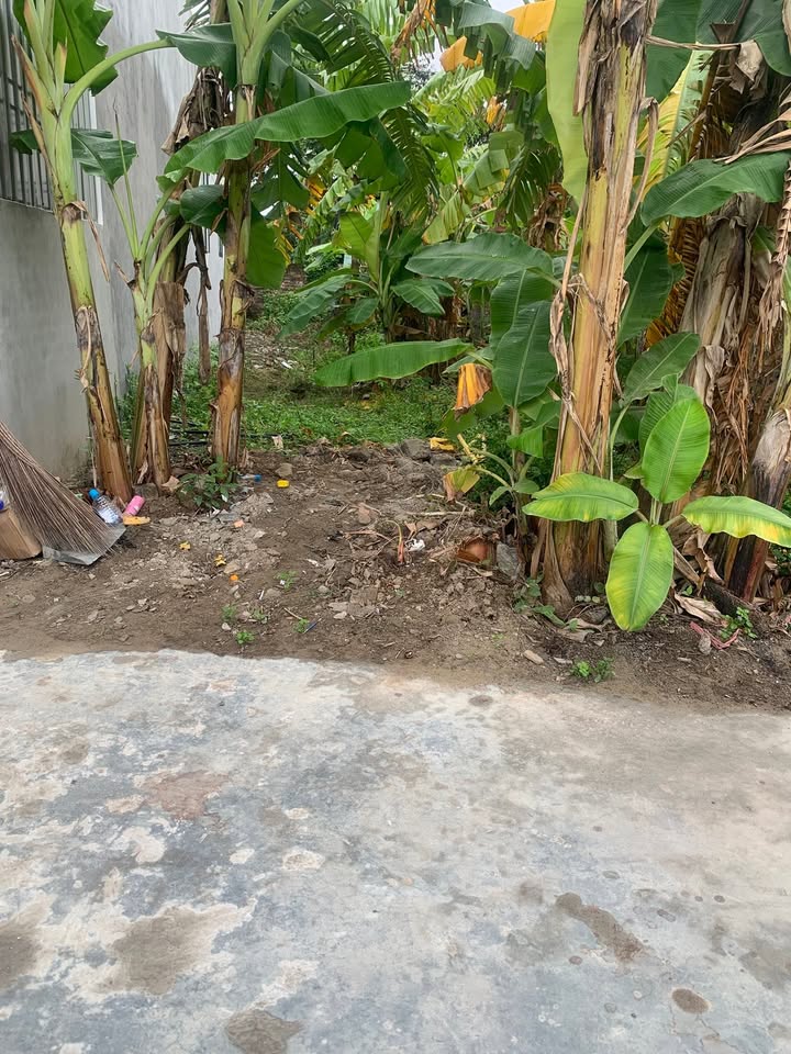 Đất nền Khởi Nghĩa Tiên Lãng 88m² giá 1 tỷ - Cơ hội đầu tư tuyệt vời!