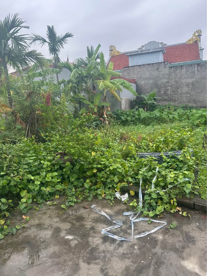 Đất nền Phù Liễn, Kiến An 55m² giá 1.5-2 tỷ - Sổ đỏ chính chủ, cơ hội đầu tư hiếm có!