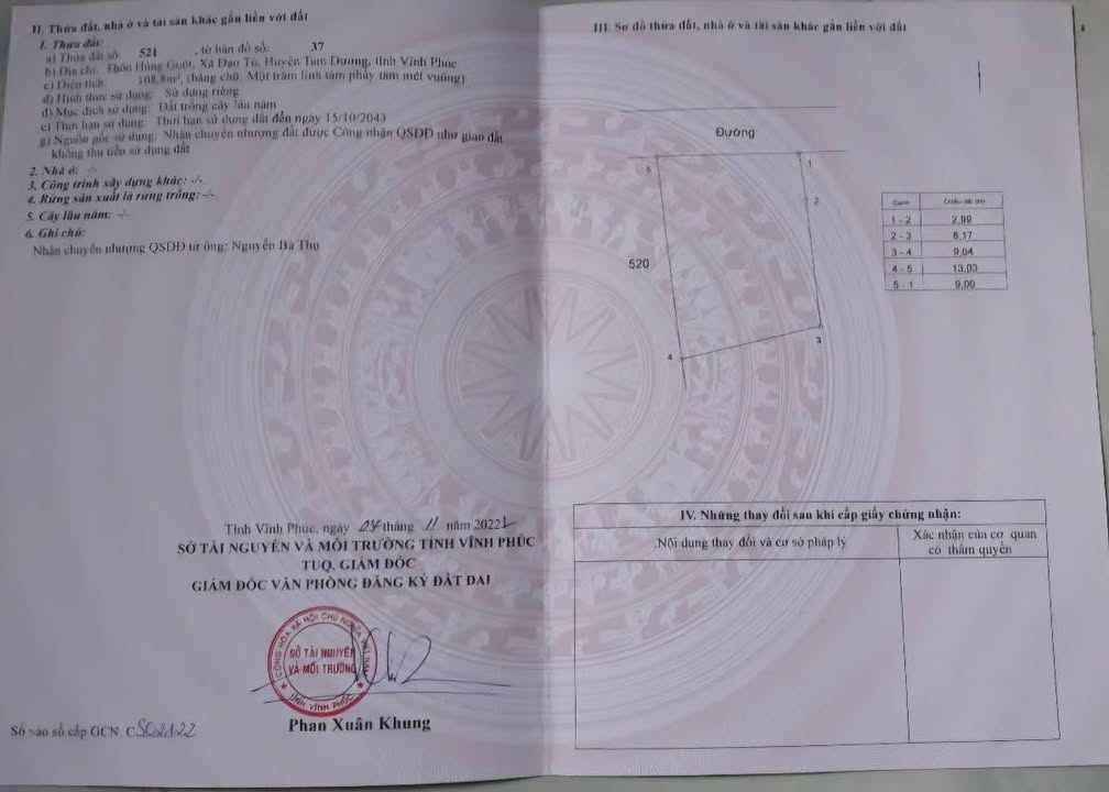 Đất vườn Đạo Tú Tam Dương 108m² giá chỉ 400 triệu - Đầu tư sinh lời ngay!