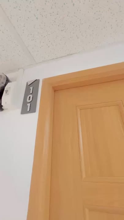 Căn hộ Studio 50m² Tân Bình giá chỉ 9 triệu - Ban công lớn siêu thoáng mát!