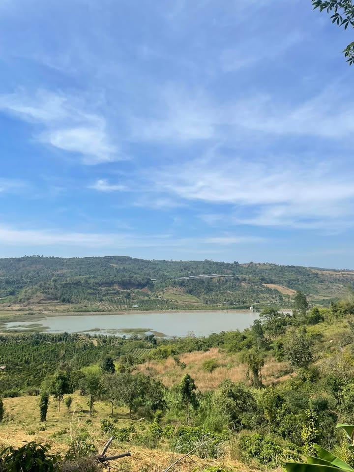 Đất Farm 60.000m² tại Nam Đà, Krông Nô giá 1.55 tỷ - Đầu tư sinh lời ngay!