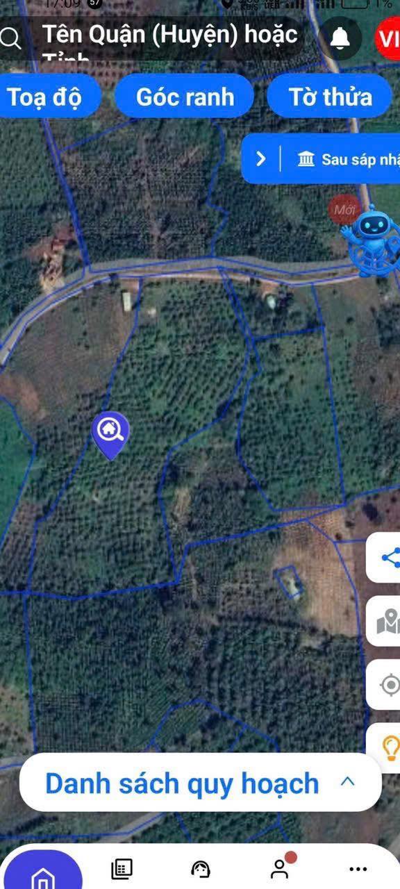 Đất trích lục 3,7ha tại Ea H'Leo - Giá 2,25 tỷ, cơ hội đầu tư tốt!