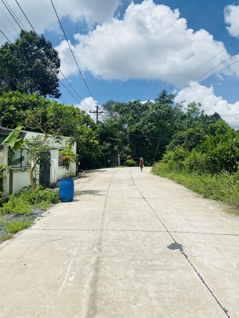 Bán đất Giồng Cát Tân Phú Trung 250m² giá 1,5 tỷ - Đầu tư tiềm năng