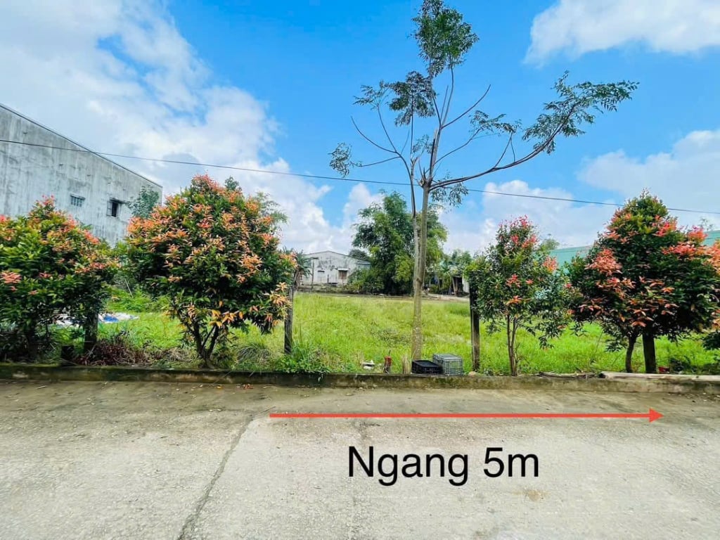 Đất nền mặt tiền Đại Hiệp 120m² giá 830 triệu - Đầu tư sinh lời cao!