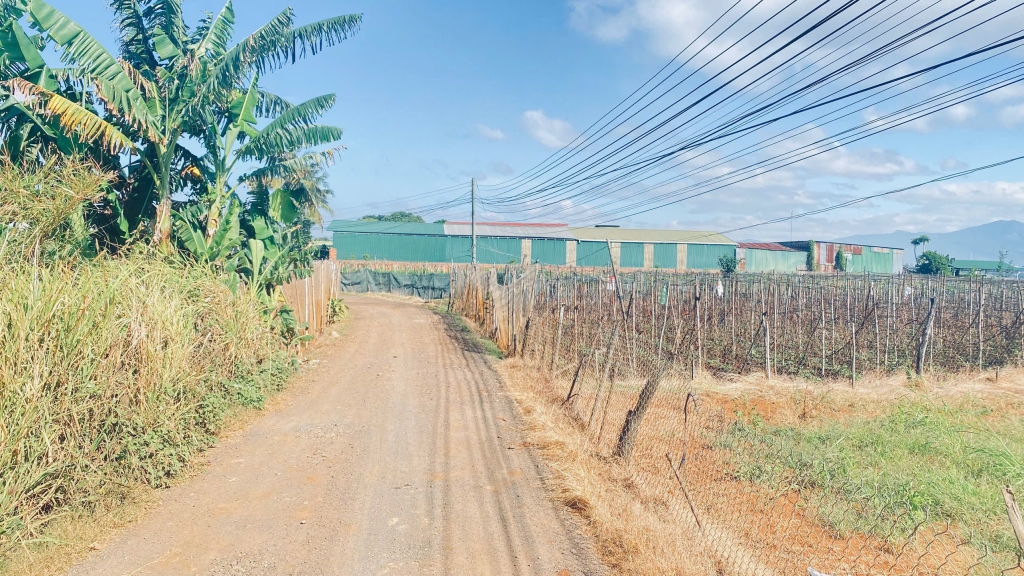 Đất nền 1400m² mặt tiền đường Hàn Thuyên, Đức Trọng - Đầu tư sinh lời lý tưởng!