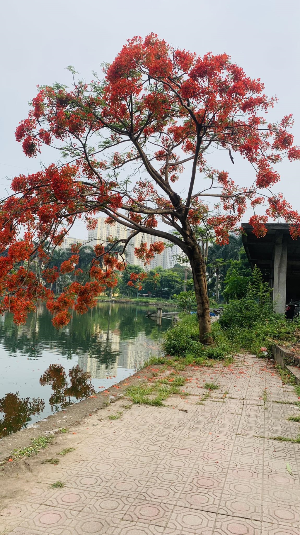 Căn hộ chung cư Vĩnh Hoàng, Quận Hoàng Mai 80m² giá 5.5 tỷ - Thiết kế lô góc đầy ánh sáng!