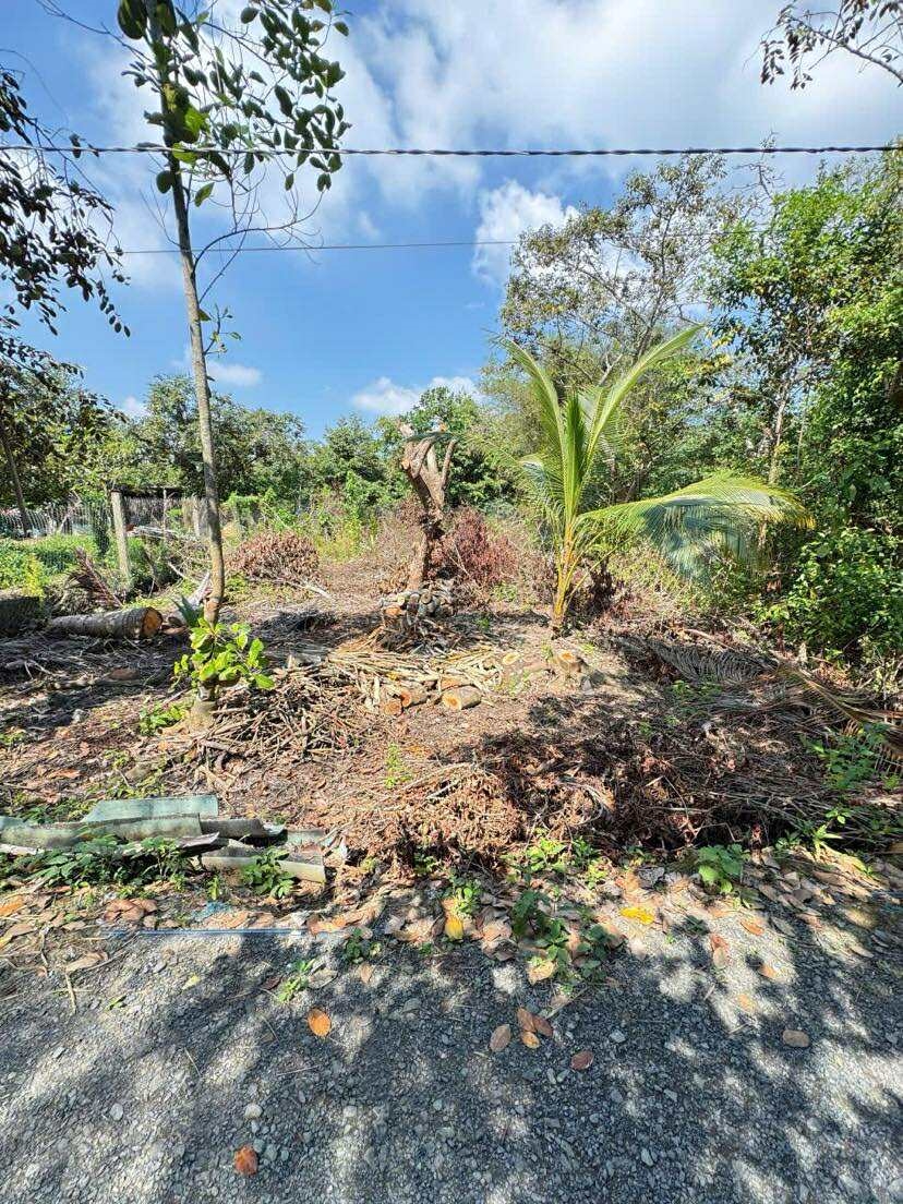 Đất nền 210m² đường Nguyễn Văn Linh, Bình Thủy, Cần Thơ - Giá chỉ 650 triệu!