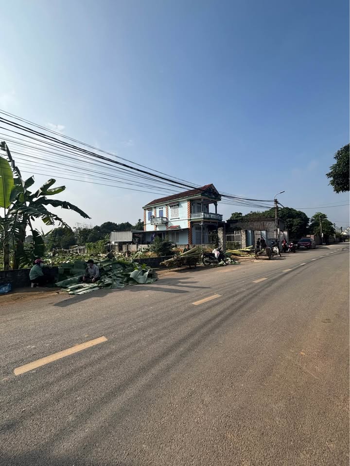 Đất nền Cẩm Lĩnh, Ba Vì 1050m² - Vị trí đắc địa, cơ hội đầu tư hiếm có!