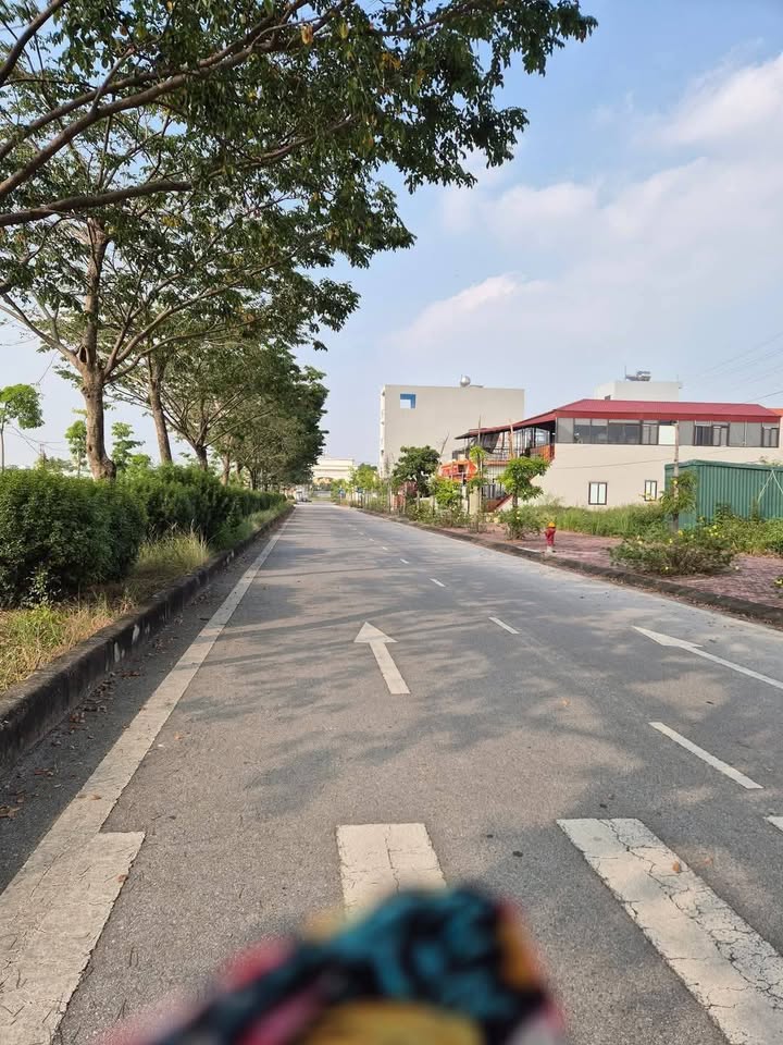 Đất nền Tân Trường, Cẩm Giàng 98m² giá 4 tỷ - Đầu tư tiềm năng sinh lời cao!