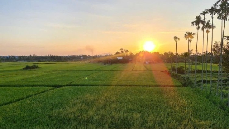 Đất mặt tiền Lê Thánh Tông, Cẩm Châu 200m² - View lúa thoáng đãng, đầu tư lý tưởng!