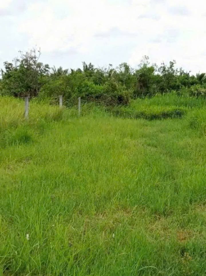 Đất nền Phường 7, TP Bến Tre 144m² giá 950 triệu - Bán nhanh, giảm giá sốc!