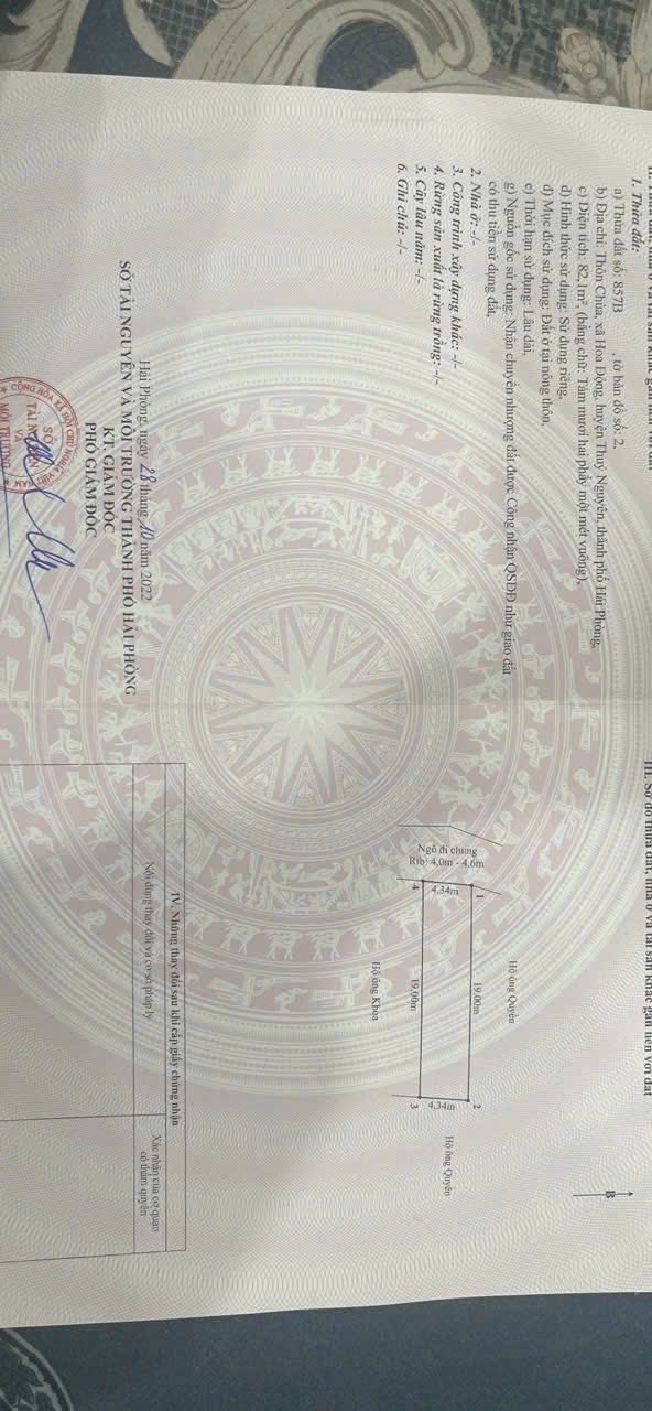 Nhà phố tại thôn Chùa, Hoa Động, Thủy Nguyên 82m² giá chỉ 2 tỷ - Tiềm năng tăng giá vượt trội!