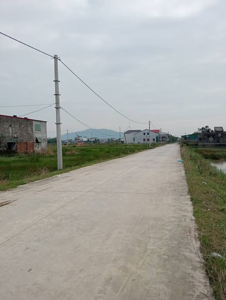 Bán gấp 3 lô đất Lý Ngân, phường Trần Phú, 100m² chỉ từ 1.2 tỷ - Cơ hội đầu tư hấp dẫn!