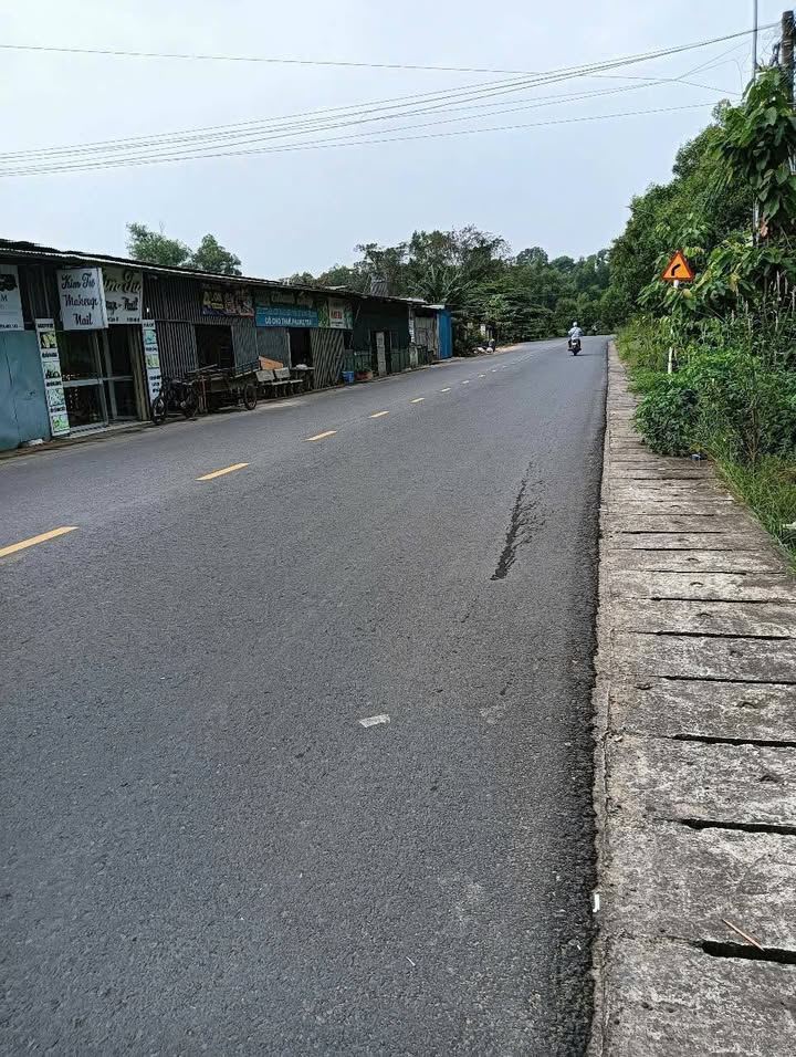 Đất mặt tiền đường Cây Dầu, Phú Hội, Nhơn Trạch 176m² giá 3 tỷ - Tiềm năng phát triển cao!