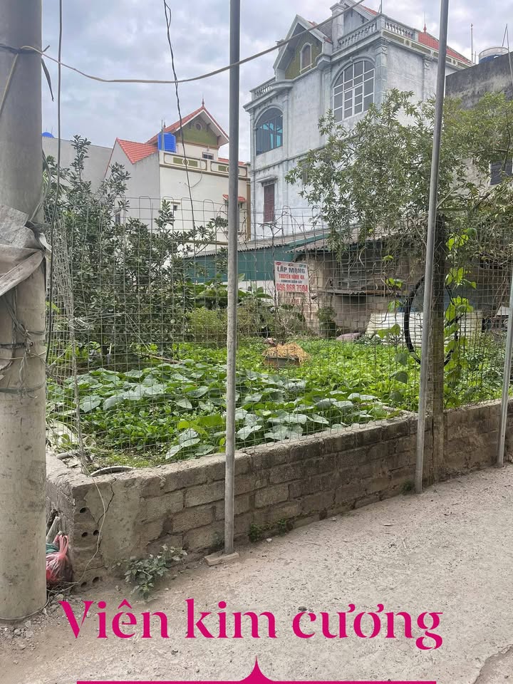 Đất nền lô góc Chương Dương Thường Tín 49m² giá 3.2 tỷ - Cơ hội đầu tư tuyệt vời!