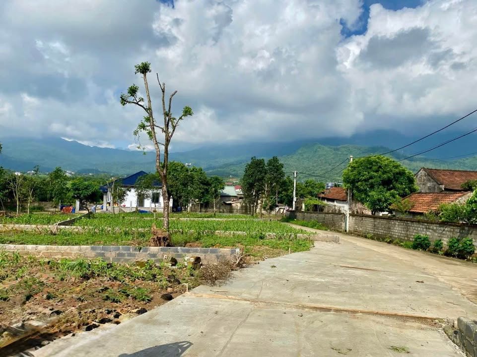 Đất Yên Bài, Ba Vì 365m² giá thỏa thuận - Lô góc 2 mặt tiền view núi tuyệt đẹp!