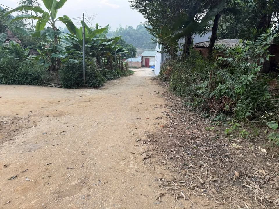 Đất nền Phượng Lâu, Việt Trì 80m² giá chỉ 1 tỷ - Vị trí đắc địa, tiện ích đầy đủ!