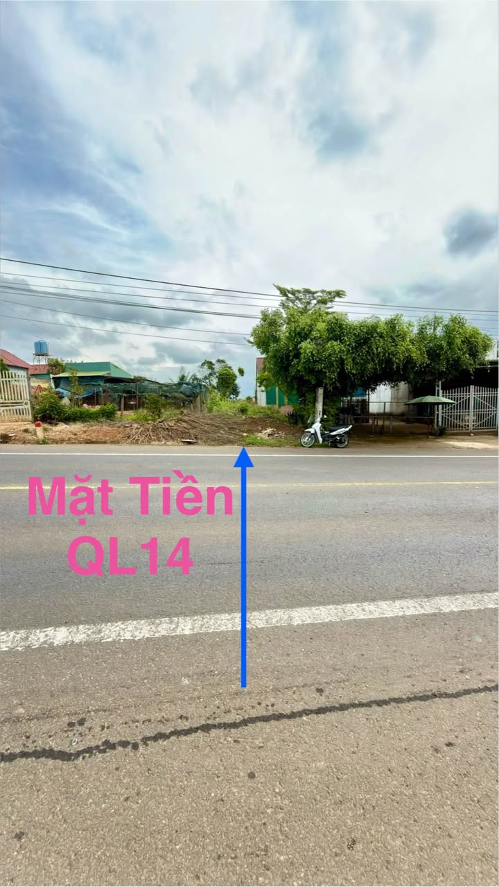 Đất mặt tiền Quốc lộ 14, Bắc Gia Nghĩa 350m² giá 1.65 tỷ - Kinh doanh đắc địa!