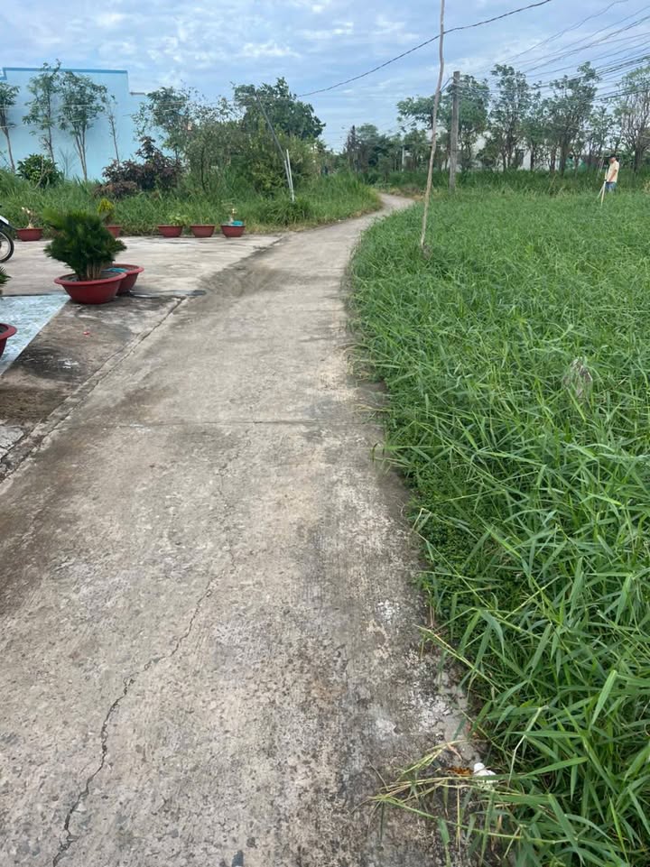 Đất nền Tân Hòa, Lai Vung 200m² giá 299 triệu - Sổ hồng chính chủ, đầu tư sinh lời!